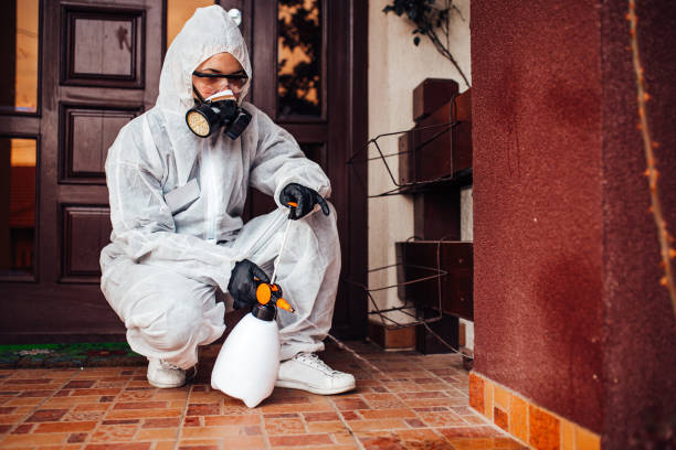 Reliable Wasp Removal contractor in Hillsboro, KS by Show Me Pest Control